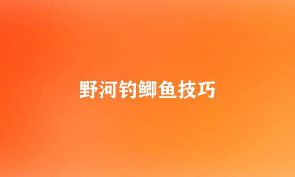 野河钓鲫鱼技巧