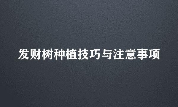 发财树种植技巧与注意事项