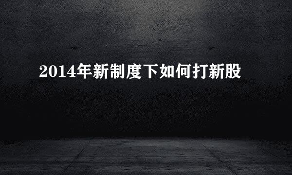 2014年新制度下如何打新股