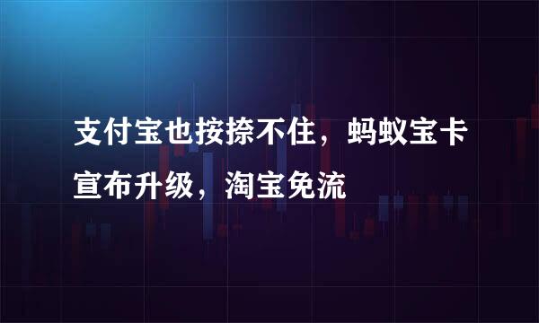 支付宝也按捺不住，蚂蚁宝卡宣布升级，淘宝免流