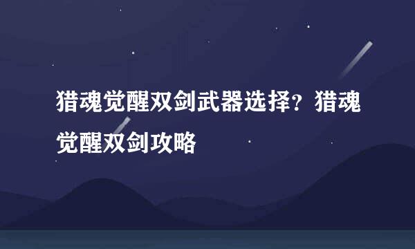 猎魂觉醒双剑武器选择？猎魂觉醒双剑攻略