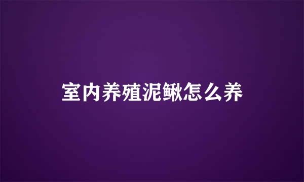 室内养殖泥鳅怎么养