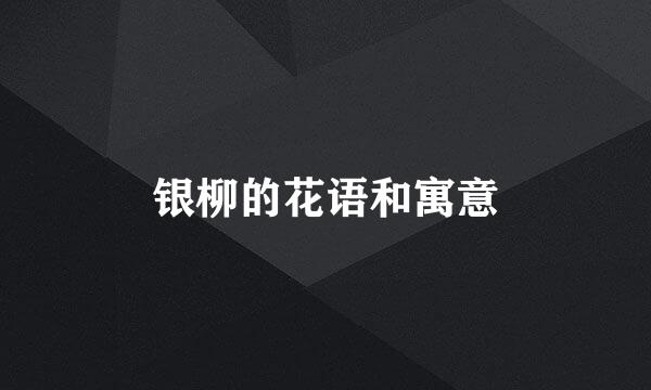 银柳的花语和寓意