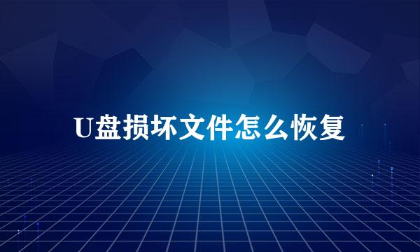 U盘损坏文件怎么恢复