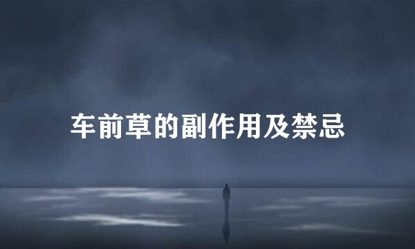车前草的副作用及禁忌