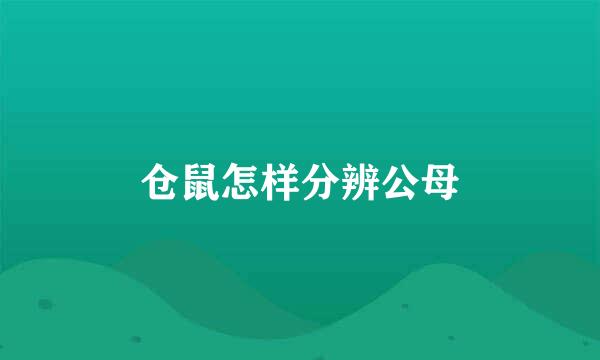 仓鼠怎样分辨公母