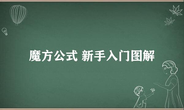 魔方公式 新手入门图解