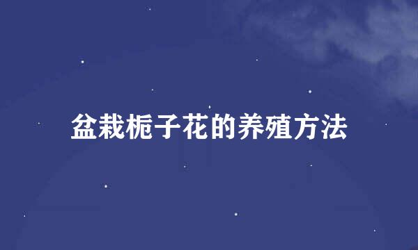 盆栽栀子花的养殖方法