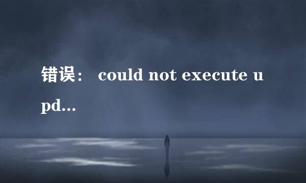 错误： could not execute update query
