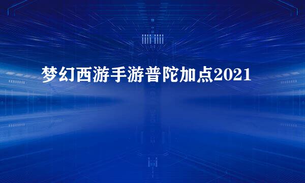 梦幻西游手游普陀加点2021