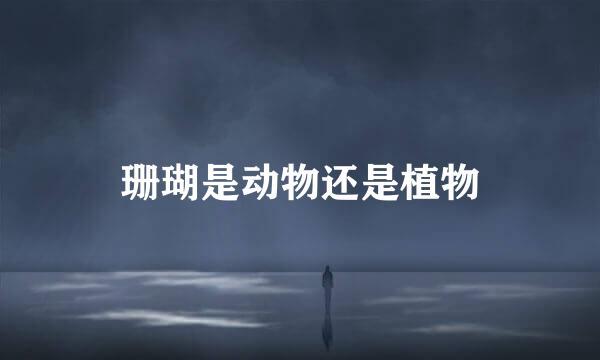 珊瑚是动物还是植物