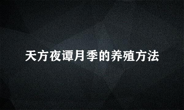天方夜谭月季的养殖方法