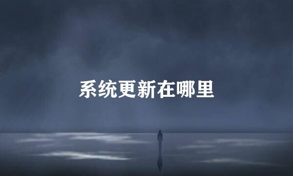 系统更新在哪里