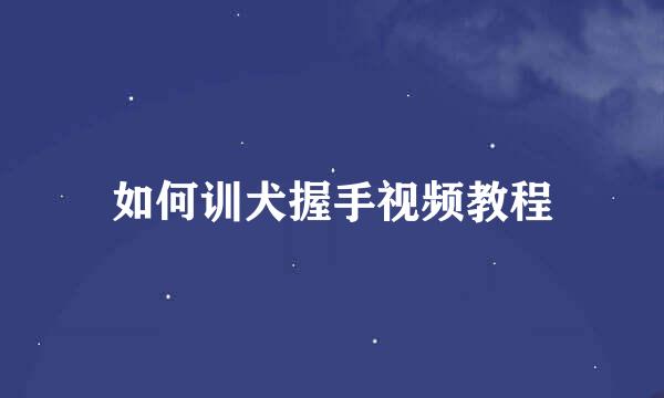 如何训犬握手视频教程