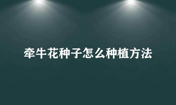 牵牛花种子怎么种植方法