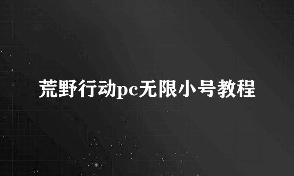 荒野行动pc无限小号教程