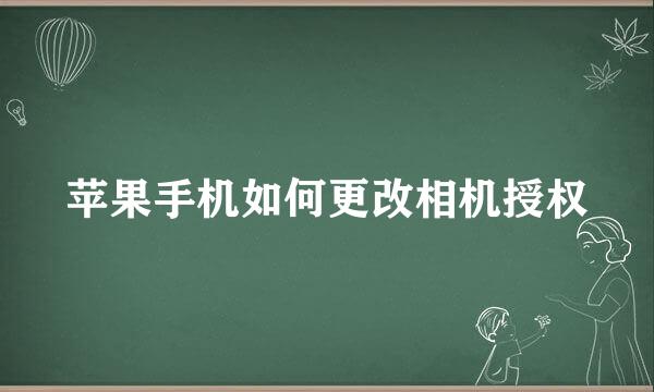 苹果手机如何更改相机授权