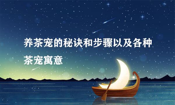 养茶宠的秘诀和步骤以及各种茶宠寓意