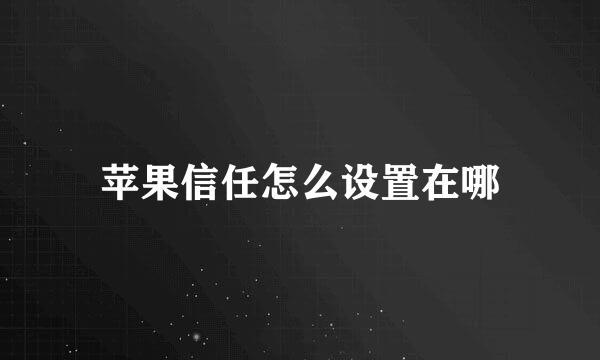 苹果信任怎么设置在哪