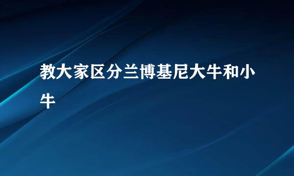 教大家区分兰博基尼大牛和小牛