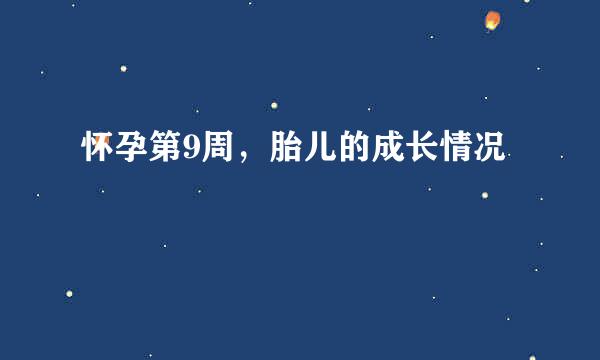 怀孕第9周，胎儿的成长情况