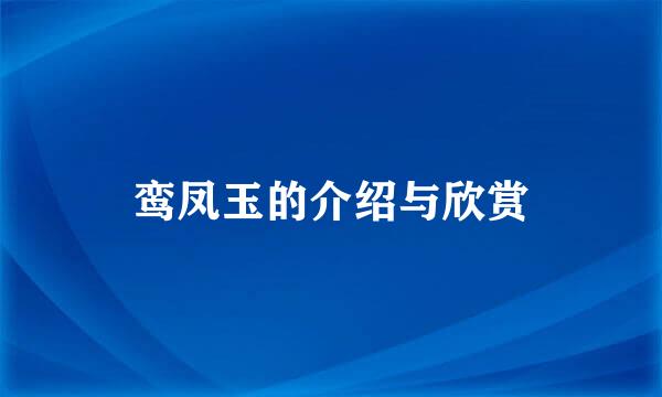 鸾凤玉的介绍与欣赏