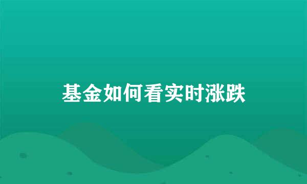 基金如何看实时涨跌