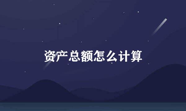资产总额怎么计算