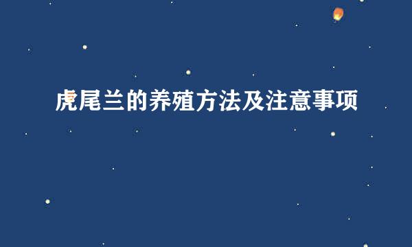 虎尾兰的养殖方法及注意事项