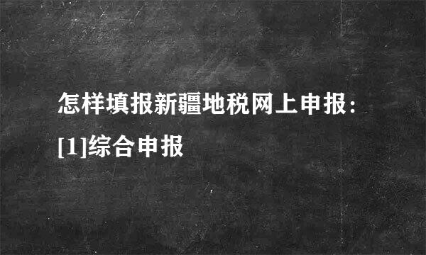怎样填报新疆地税网上申报：[1]综合申报