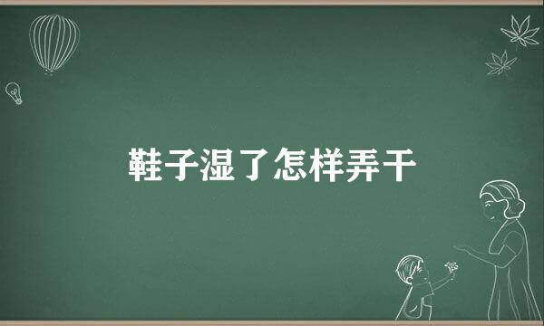 鞋子湿了怎样弄干