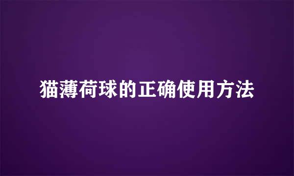 猫薄荷球的正确使用方法