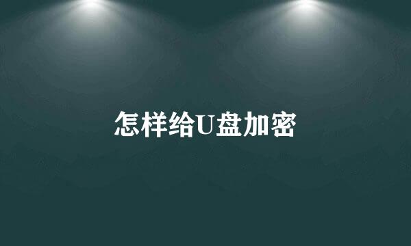 怎样给U盘加密
