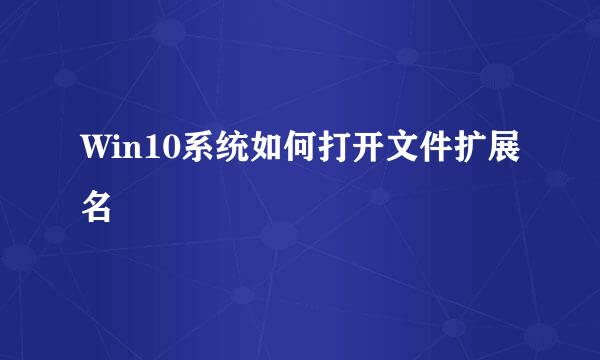 Win10系统如何打开文件扩展名