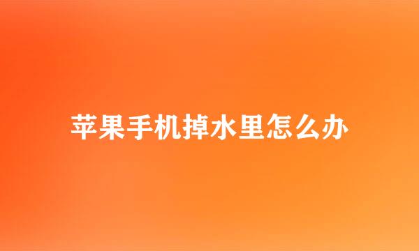 苹果手机掉水里怎么办