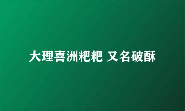 大理喜洲粑粑 又名破酥