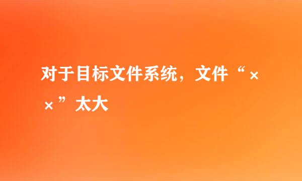 对于目标文件系统，文件“××”太大