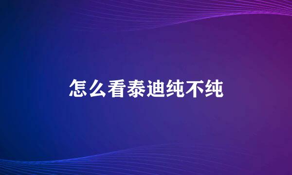怎么看泰迪纯不纯