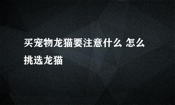 买宠物龙猫要注意什么 怎么挑选龙猫