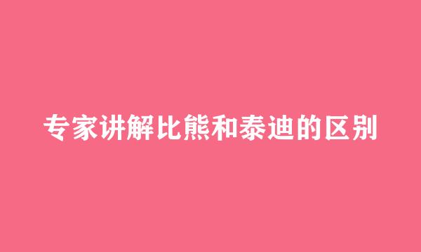 专家讲解比熊和泰迪的区别