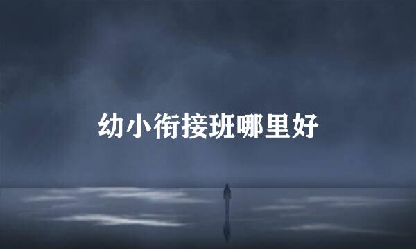 幼小衔接班哪里好
