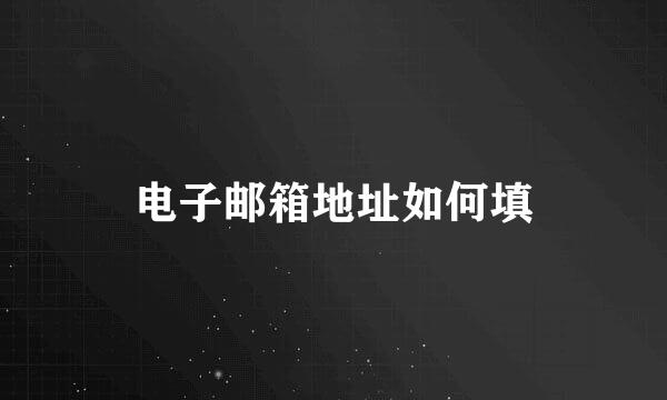 电子邮箱地址如何填