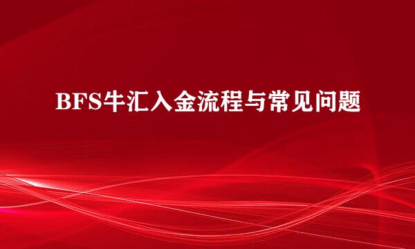 BFS牛汇入金流程与常见问题