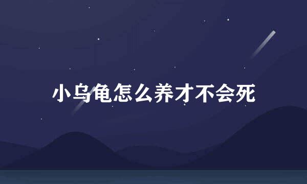 小乌龟怎么养才不会死