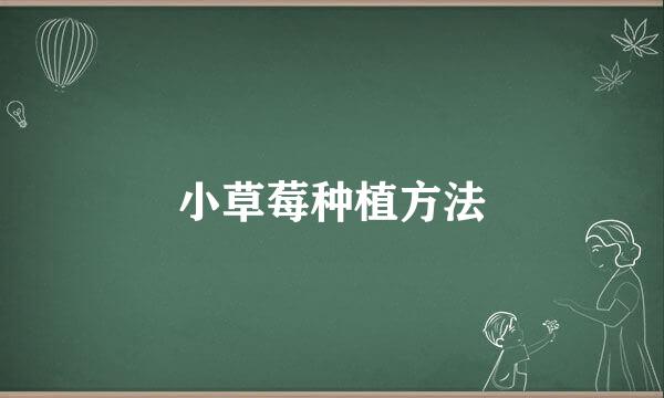 小草莓种植方法
