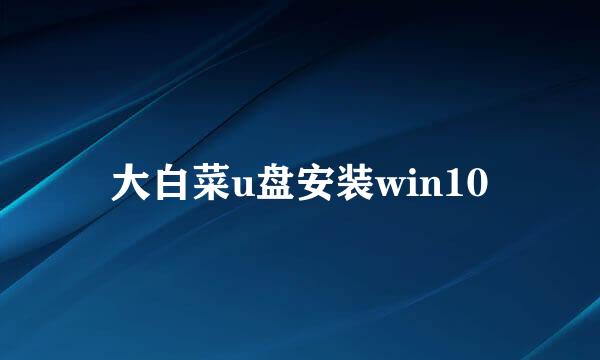 大白菜u盘安装win10