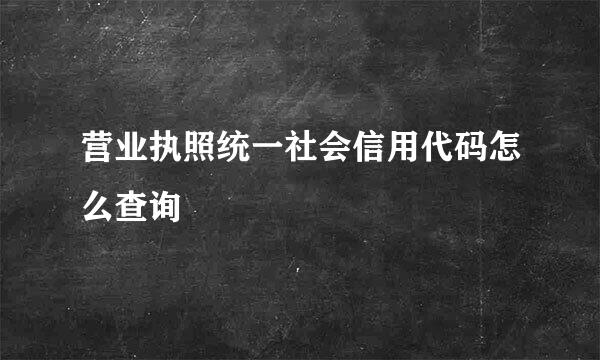 营业执照统一社会信用代码怎么查询