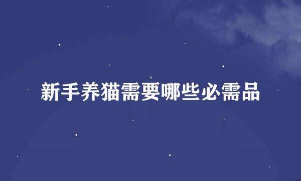新手养猫需要哪些必需品