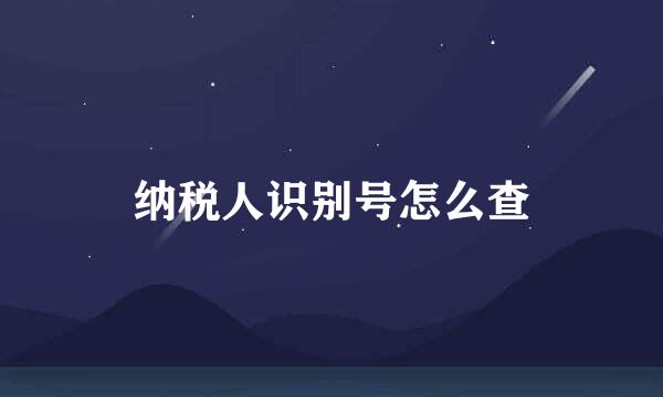 纳税人识别号怎么查