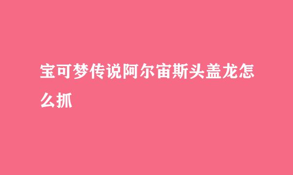 宝可梦传说阿尔宙斯头盖龙怎么抓